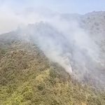 TNBTS Terbakar Lagi, Titik Api Muncul di Lereng Bromo