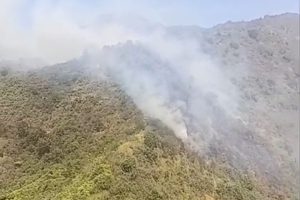 TNBTS Terbakar Lagi, Titik Api Muncul di Lereng Bromo TNBTS Terbakar Lagi, Titik Api Muncul di Lereng Bromo