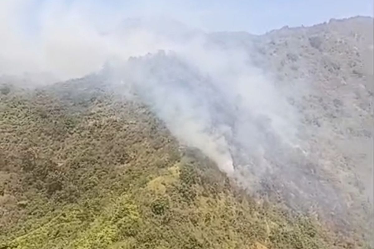 TNBTS Terbakar Lagi, Titik Api Muncul di Lereng Bromo TNBTS Terbakar Lagi, Titik Api Muncul di Lereng Bromo