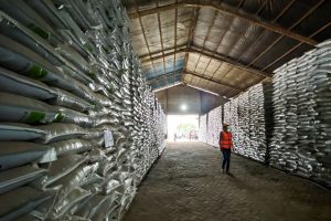 Petrokimia Gresik Sedia 443 Ribu Ton Pupuk Subsidi Musim Tanam