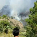 Jalur Pendakian Arjuno Ditutup, BPBD Minta Bantuan Water Bombing