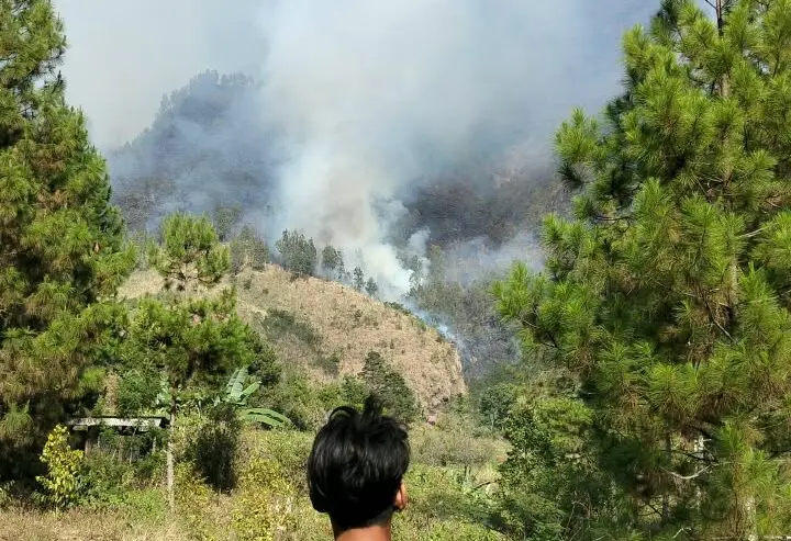 Jalur Pendakian Arjuno Ditutup, BPBD Minta Bantuan Water Bombing
