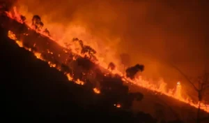 Kobaran Api di Puncak Gunung Arjuno Terlihat dari Tol Pandaan Kobaran Api di Puncak Gunung Arjuno Terlihat dari Tol Pandaan