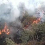 Kebakaran TNBTS Lumajang Merambat Dekati Wisata Puncak B29