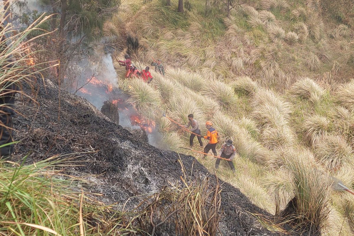 BPBD: 4 Petugas dan Relawan Gugur Terjebak Karhutla Bromo
