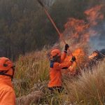 BPBD Ungkap Kronologi Karhutla Bromo Tewaskan 4 Petugas dan Relawan