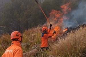 BPBD Ungkap Kronologi Karhutla Bromo Tewaskan 4 Petugas dan Relawan BPBD Ungkap Kronologi Karhutla Bromo Tewaskan 4 Petugas dan Relawan