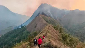 Tahura R Soerjo Kebakaran, Pendakian Bukit Cendono Ditutup