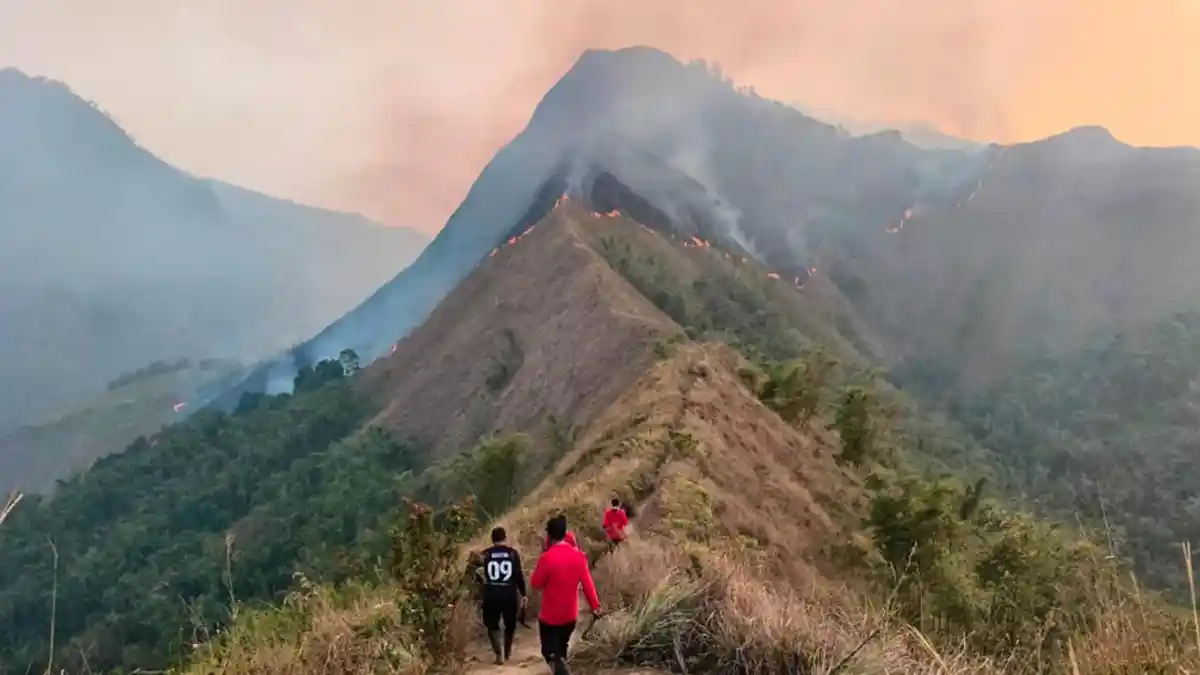 Tahura R Soerjo Kebakaran, Pendakian Bukit Cendono Ditutup