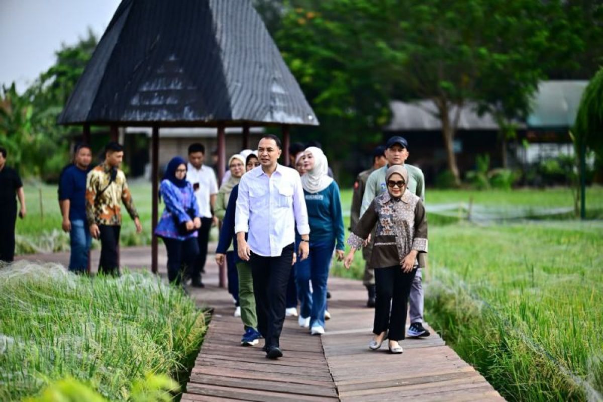 Pemkot Surabaya Sulap Hutan Kota Jeruk Jadi Tempat Wisata Baru Pemkot Surabaya Sulap Hutan Kota Jeruk Jadi Tempat Wisata Baru